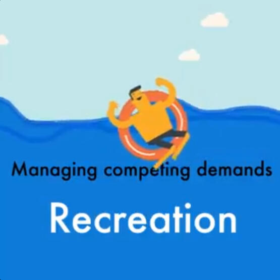 Scottish Parliament committee report